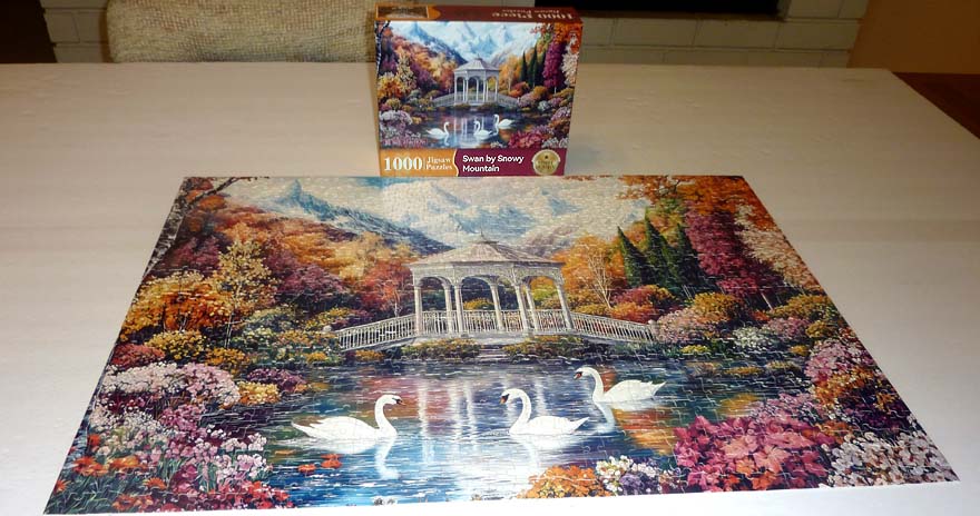 Swan by Snowy Mountain