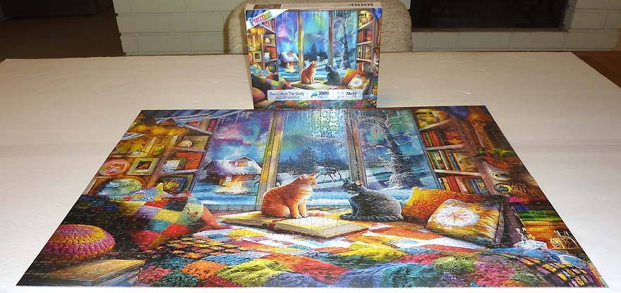 Two Cats in The Study