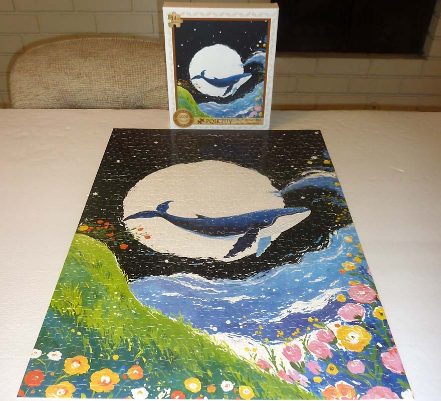 The Whale in my Dream